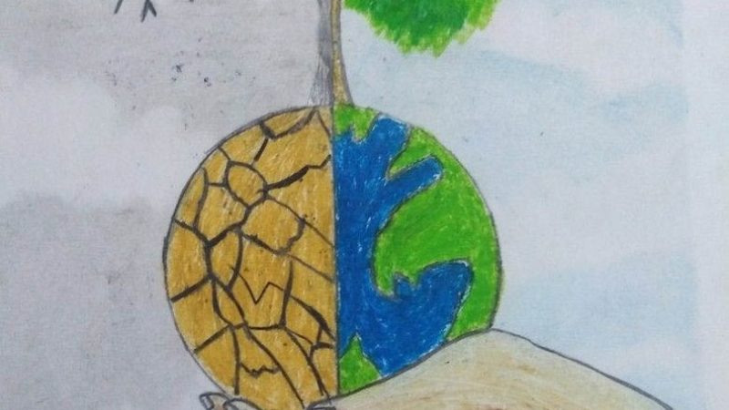 全口种植牙手术：揭秘成都先进流程与关键步骤