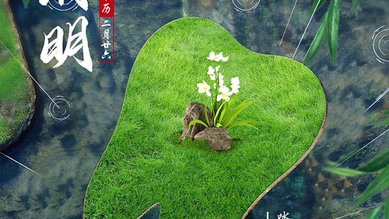 种植牙失败后不处理，会有哪些后果？**